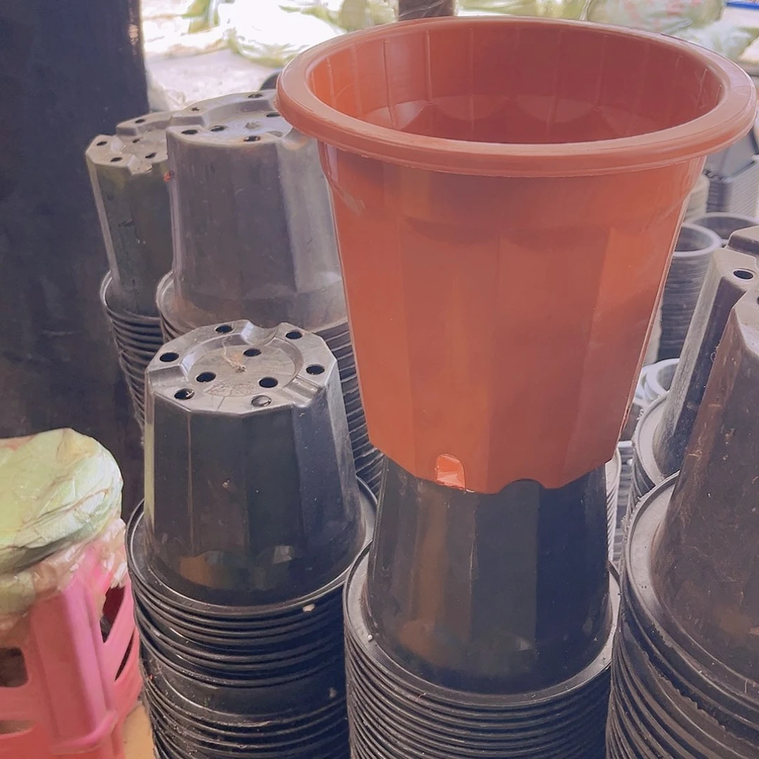 塑料22公分红砖盆20个