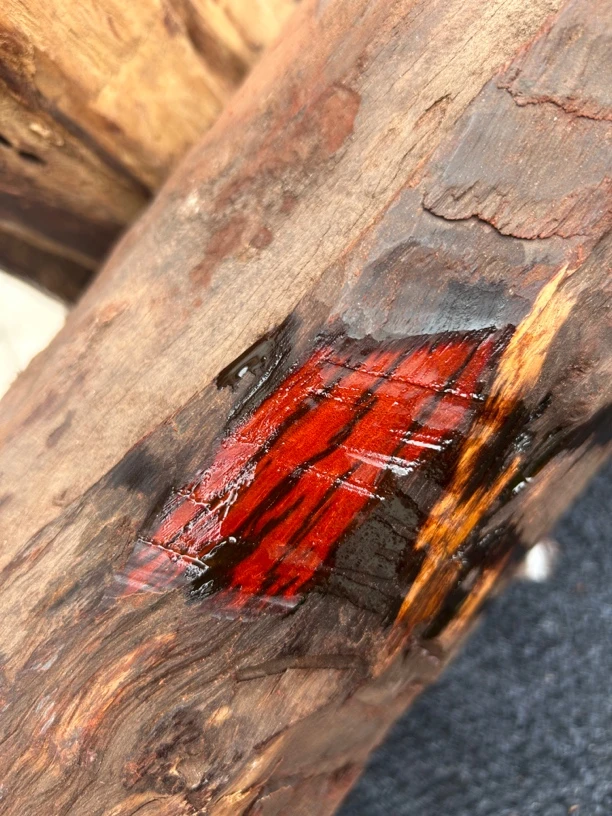 1.5印度小叶紫檀定制款小叶紫檀