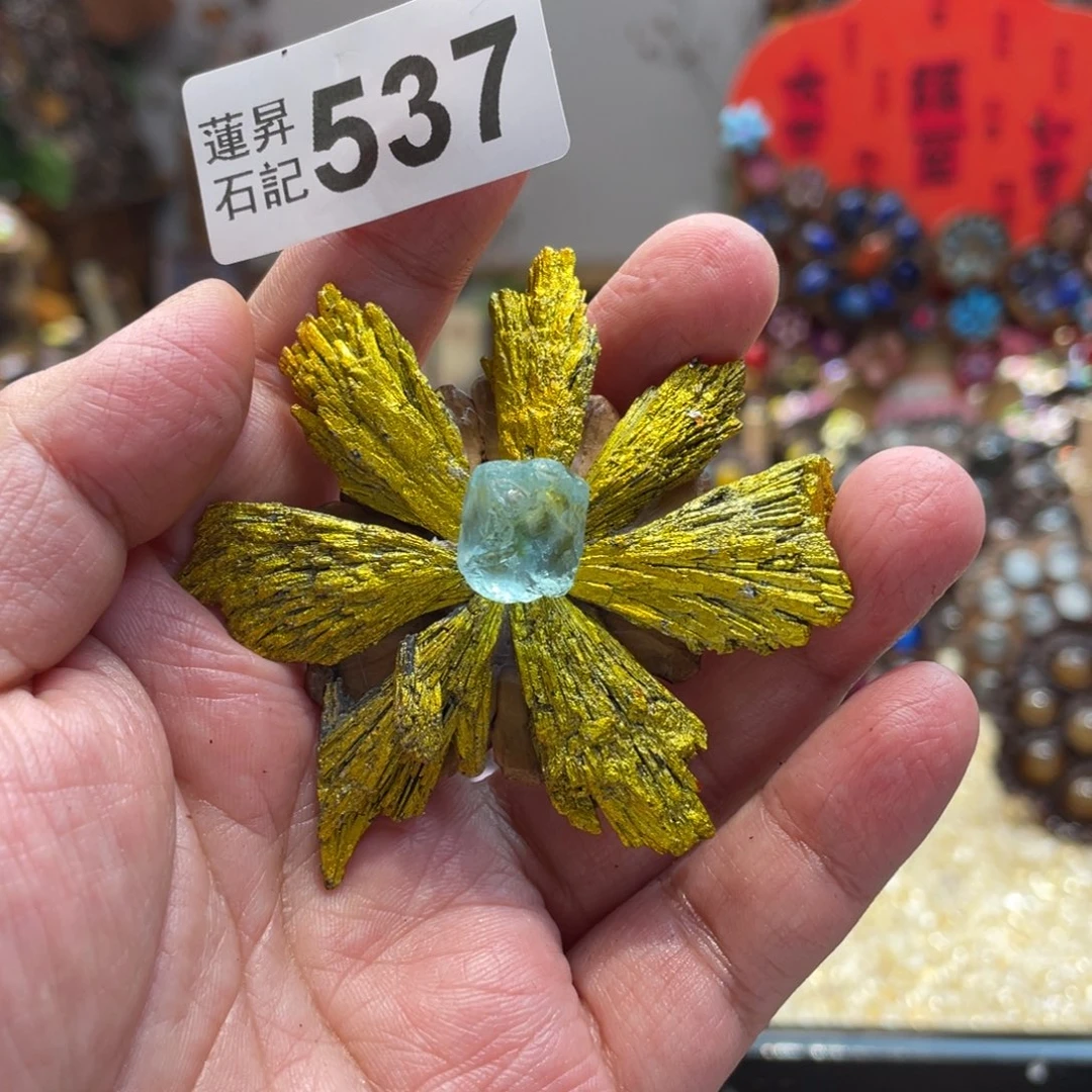 核桃木/黑胡桃（胡桃木）叶****菡537