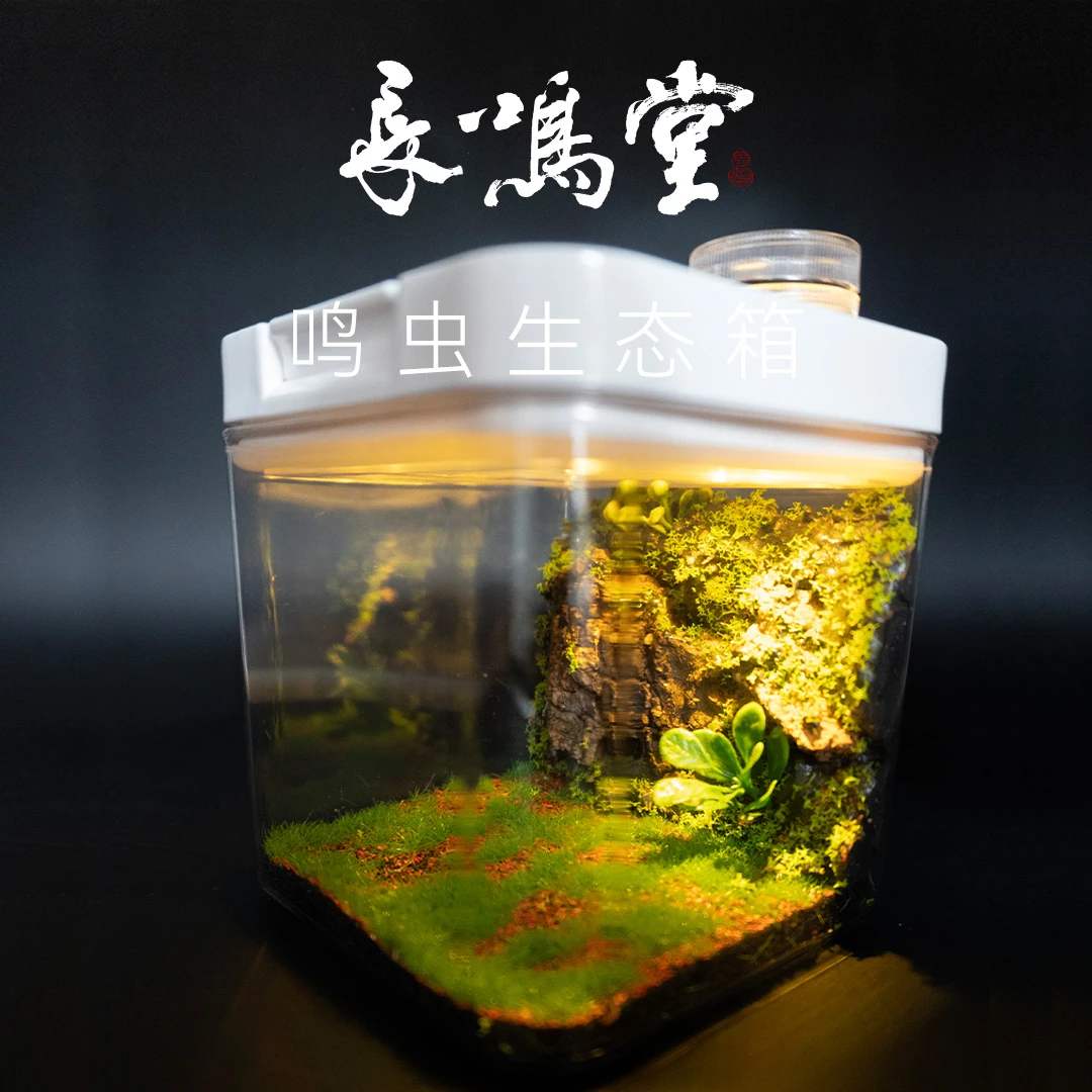鸣虫甲虫斗虫爬宠生态箱带灯设计方便实用