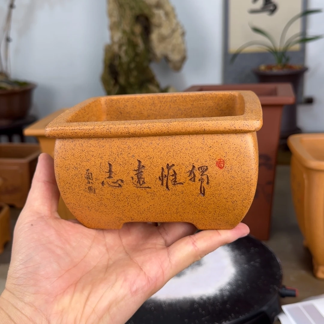 紫砂花盆紫砂花盆