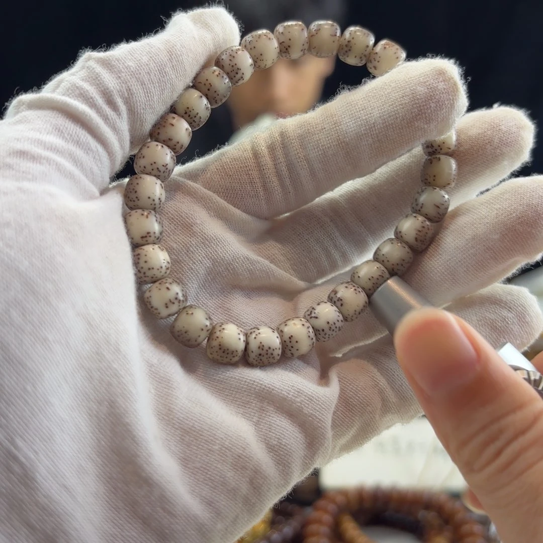 星月菩提手串灰背河豚