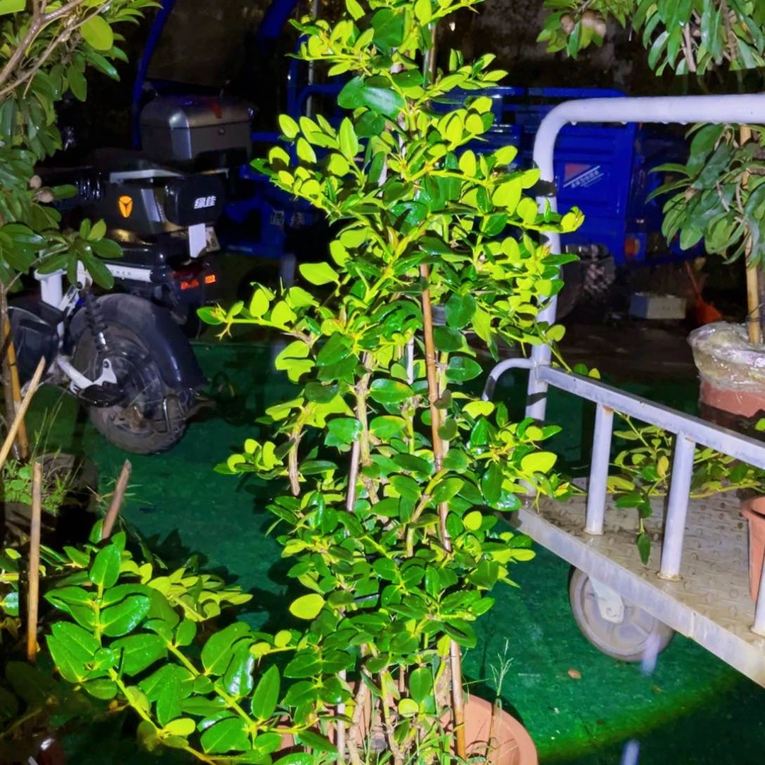 222222我也要去看一看呀我要看