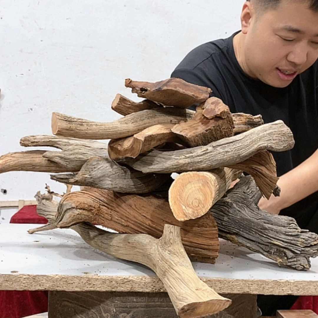 【闪购商品】柏木听*语我们都是好孩子