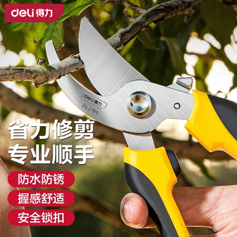 得力剪枝剪刀园林花艺修剪树枝剪刀果树剪刀粗大花剪园艺剪子工具