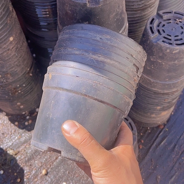 养殖盆口径13高9发45个