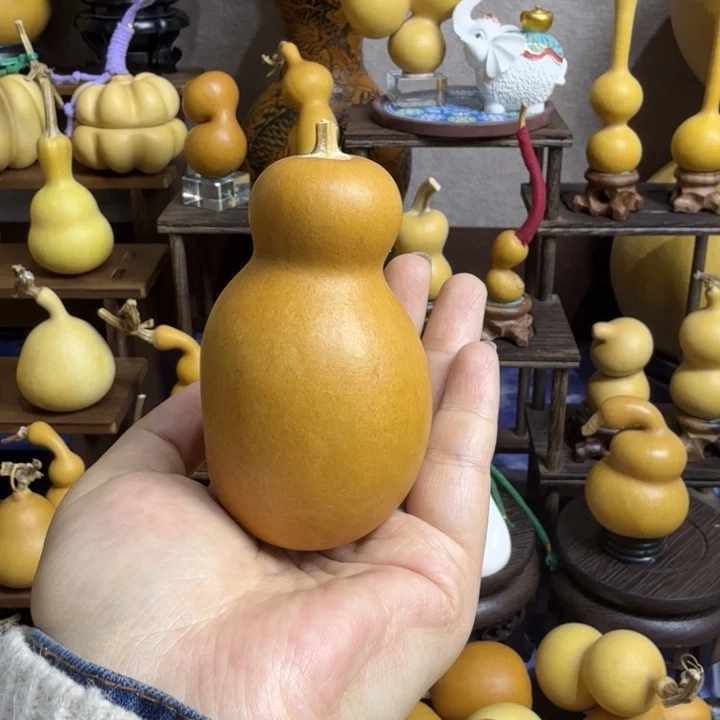 知***秋竹类老皮瓶子葫芦