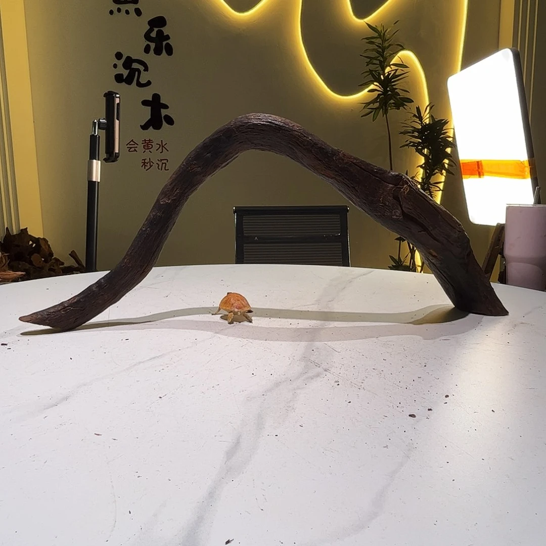 吴***林931 会黄黑红水67 12 27