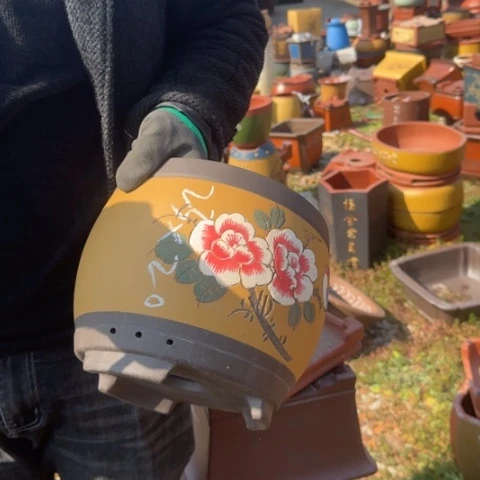 紫砂花盆紫砂花盆盆景盆栽