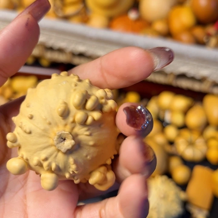 J**E叶璇……不说算哦