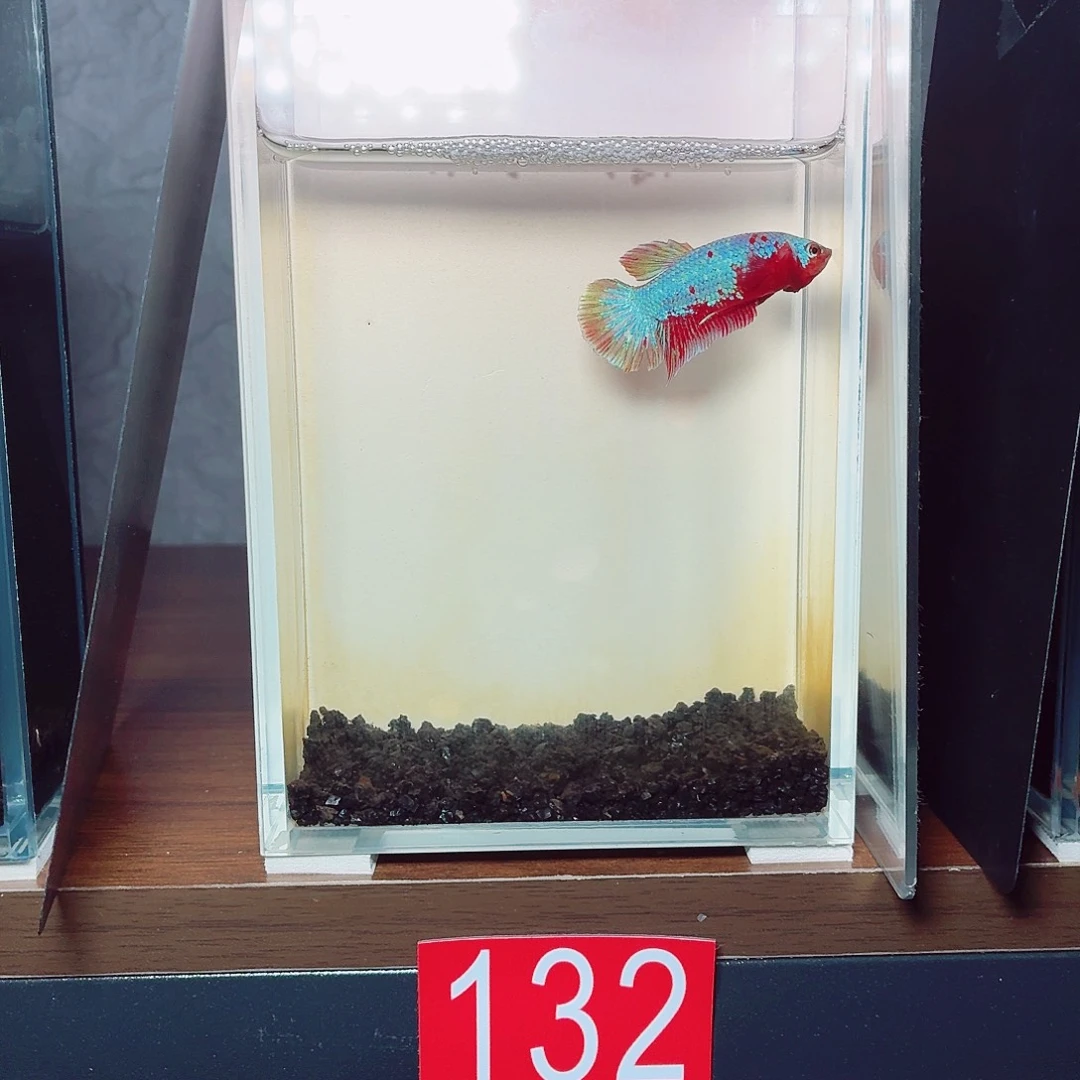 斗鱼彩金电摇将军