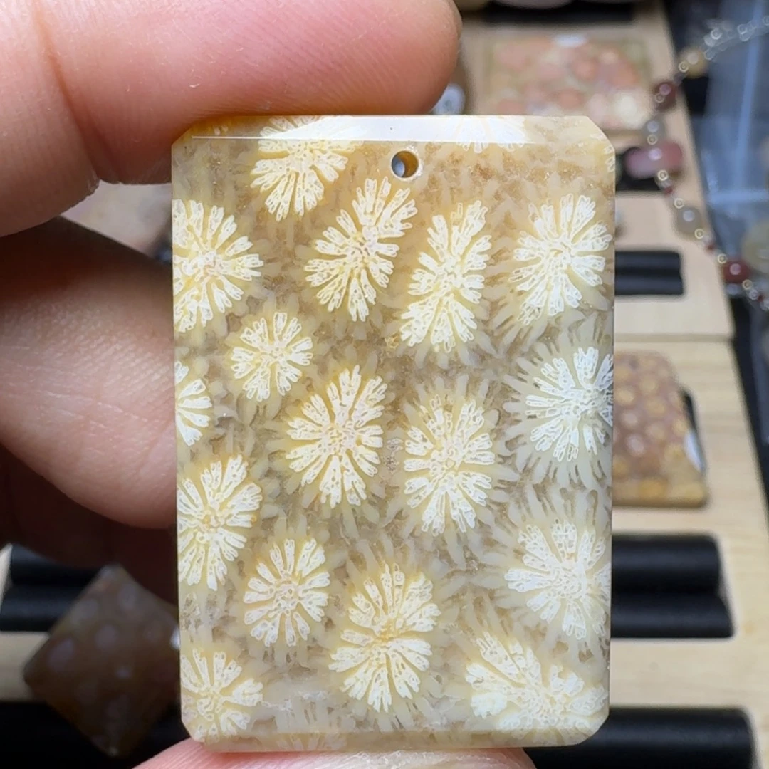 未镶嵌纯天然色有机玉石保真色硅化玉