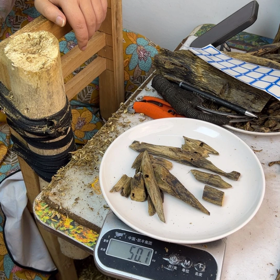 线香奇楠虫漏香50克