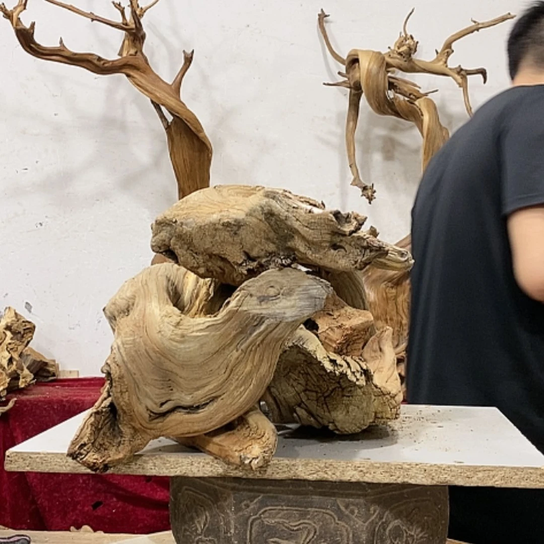 【闪购商品】柏木收***_我们都是好孩子