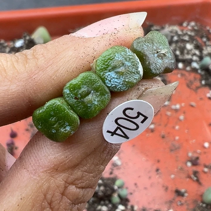 994号11111111111111