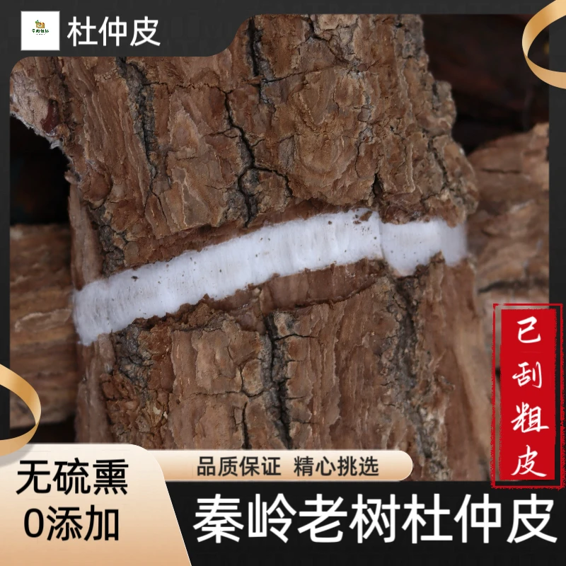 老杜仲皮 伏牛山采集50年老树杜仲去粗皮厚皮丝绵树搭配枸杞