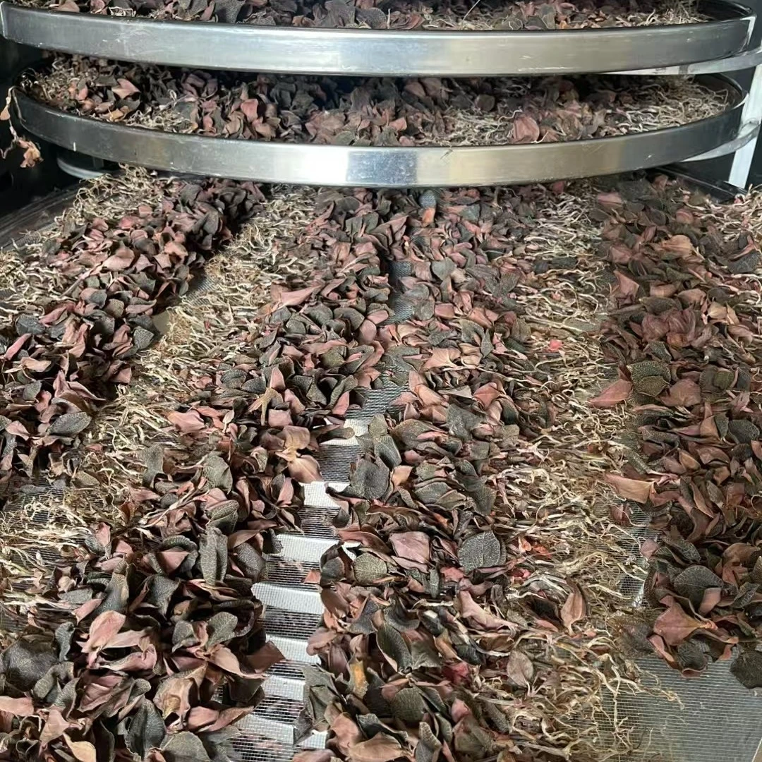 农产品大叶250克整株干品佛冈时时好运种植金线莲