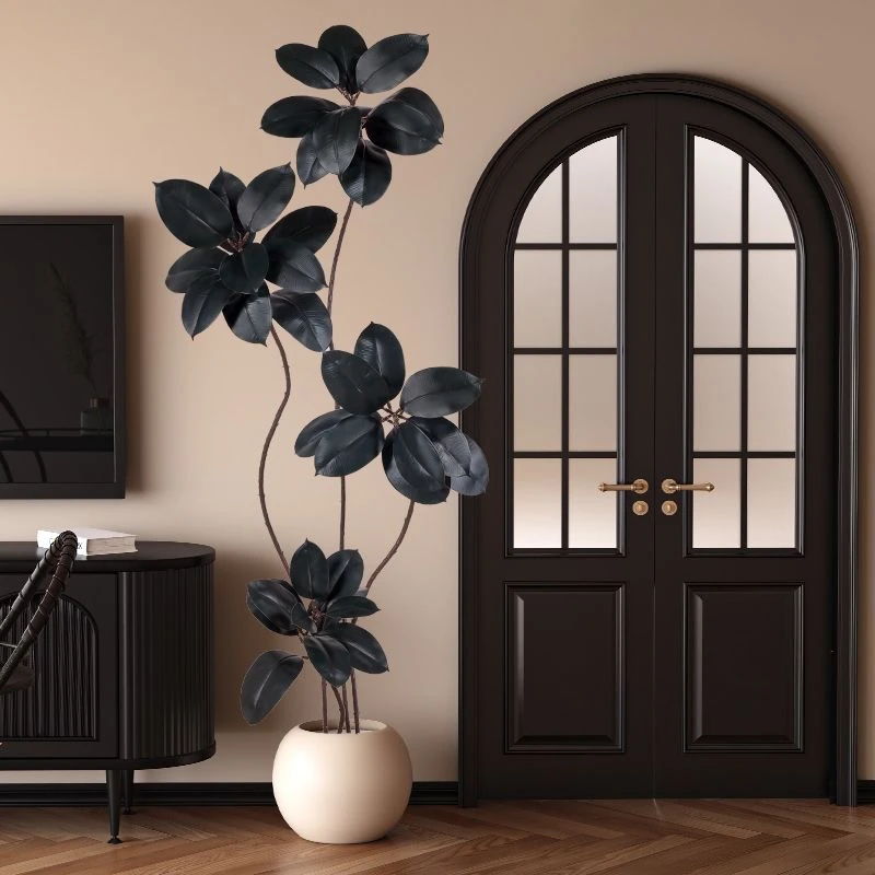 一物一拍老桩造型黑金刚橡皮树大型客厅盆栽网红观叶落地绿植摆件