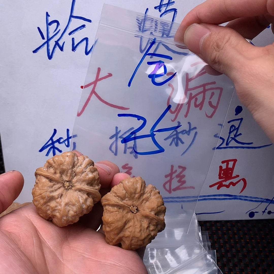 文玩核桃把件46467567777