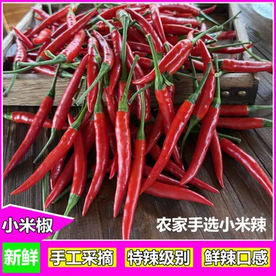 新鲜现摘特辣小米椒巨辣朝天椒红辣椒餐饮火锅蔬菜泡椒剁椒小米辣