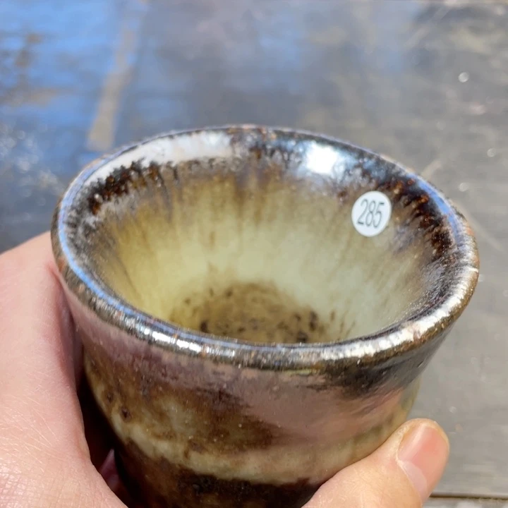 茶宠盏盏灯都是我的爱啊