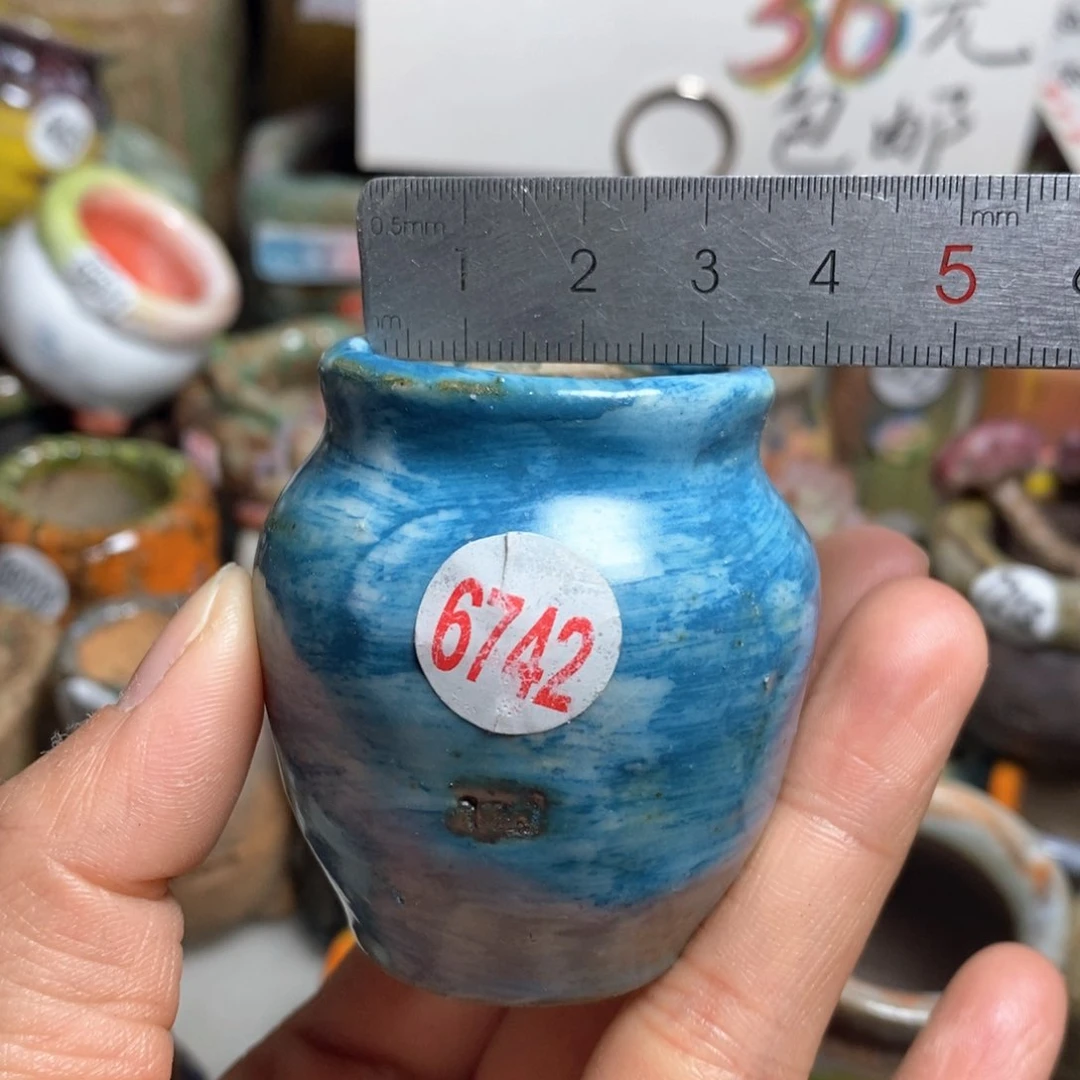 花盆拍5送一个小礼物