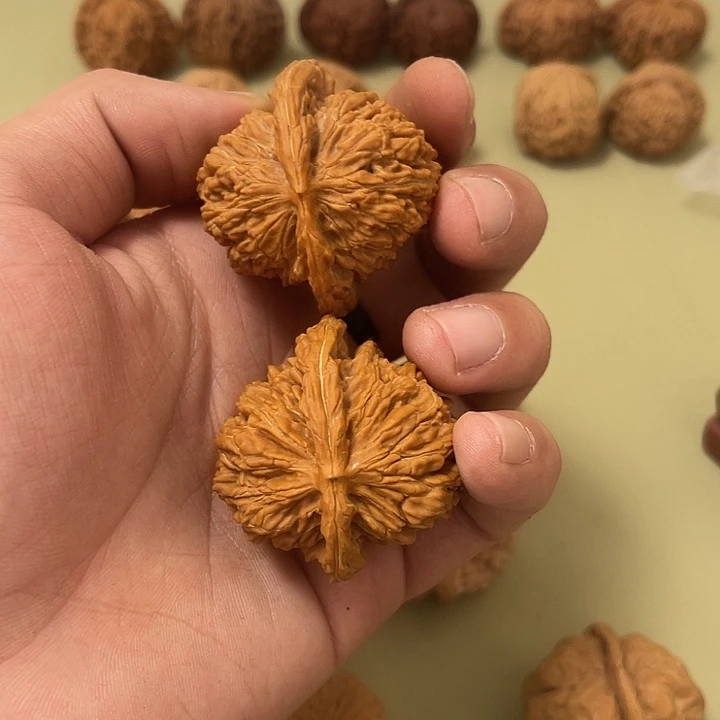 笨***王大叶紫檀（黑酸枝木类）