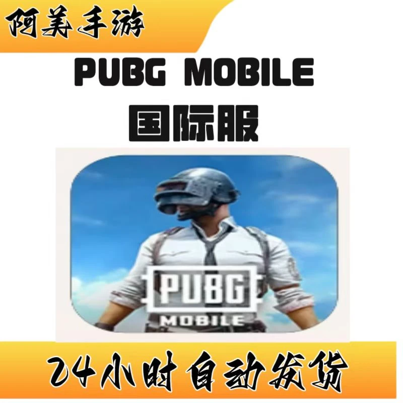 pubg  国际服  刺激战场   手机平板通用游戏安装服务
