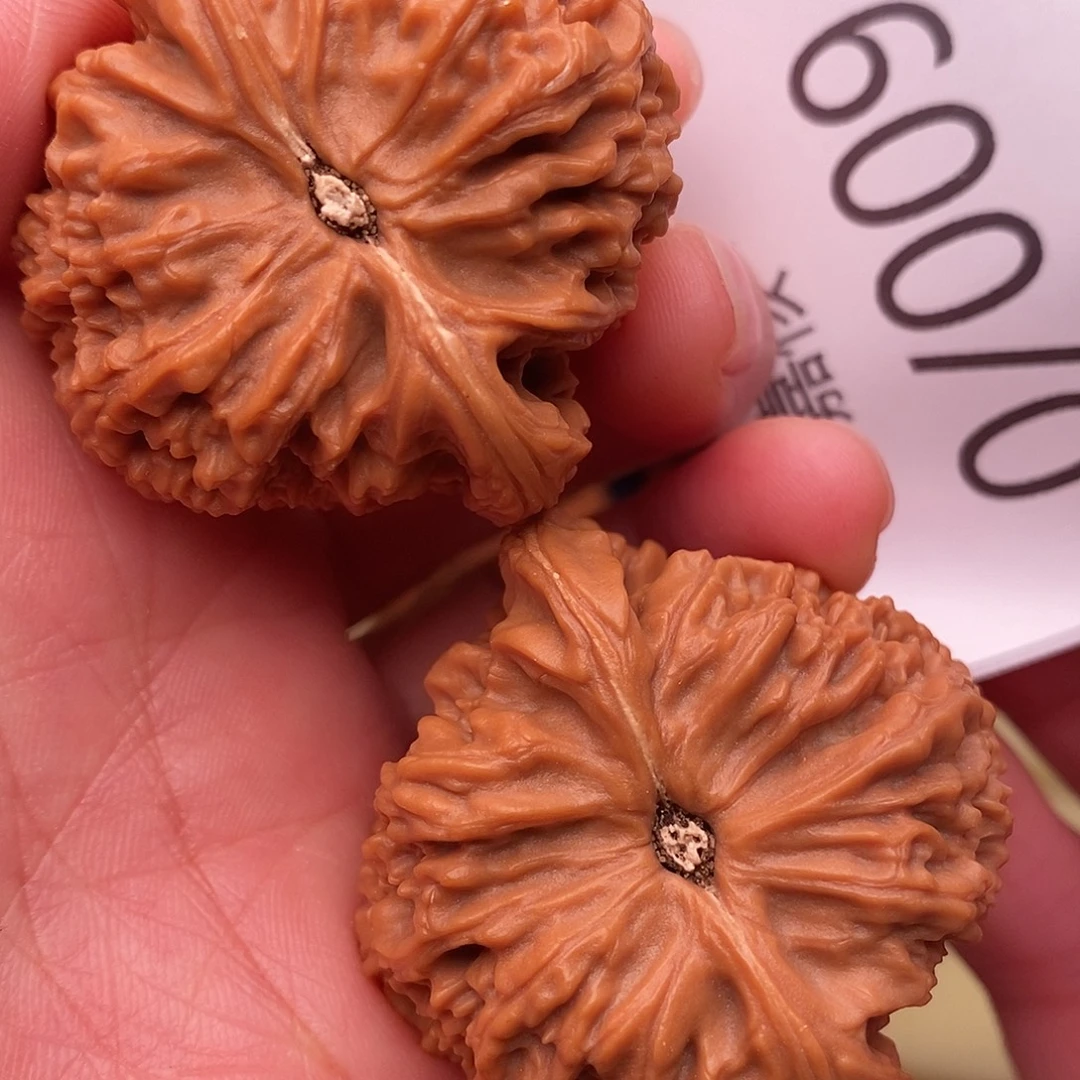 文玩核桃把件43白狮子