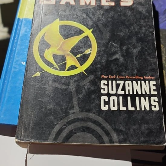 b246号外文书看好品相