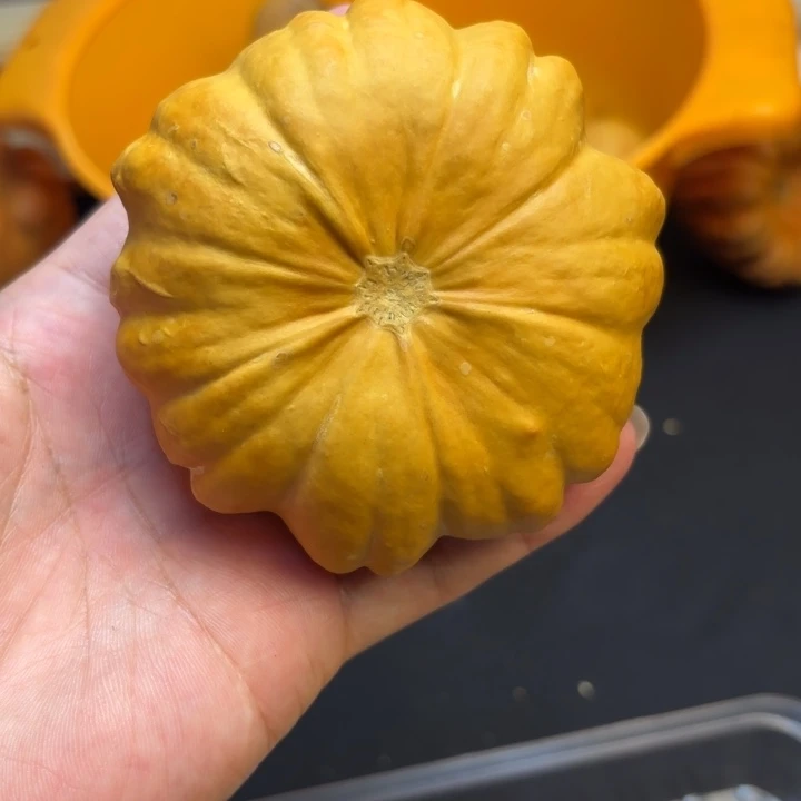 曾*福利福利不退不换