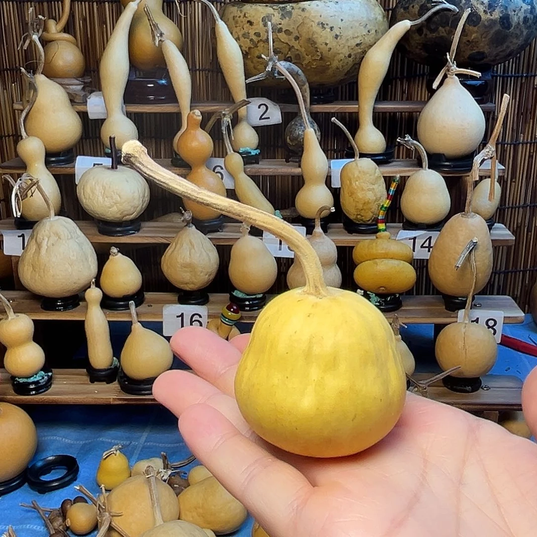 抽不裂蛋糕抽9.9米包邮到家