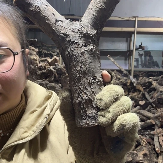 香榧木勤****?火琉璃的毛料摆件