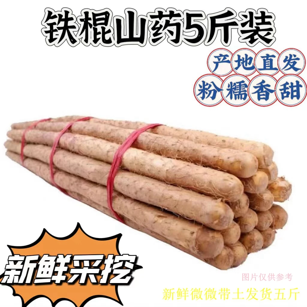 铁棍山药新鲜软糯产地直发营养香甜带箱五斤原产地带土50-70厘米