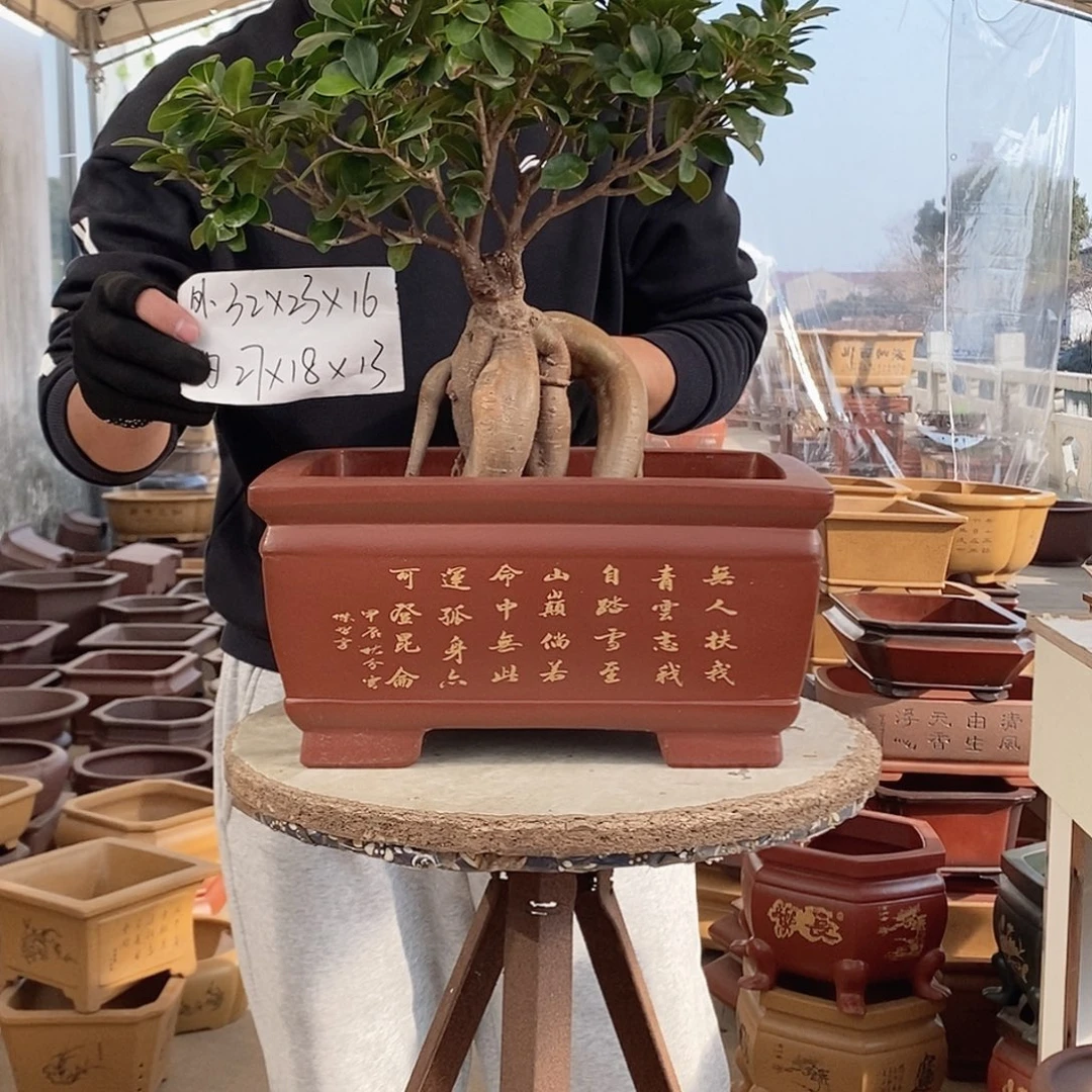 花盆紫砂紫砂花盆