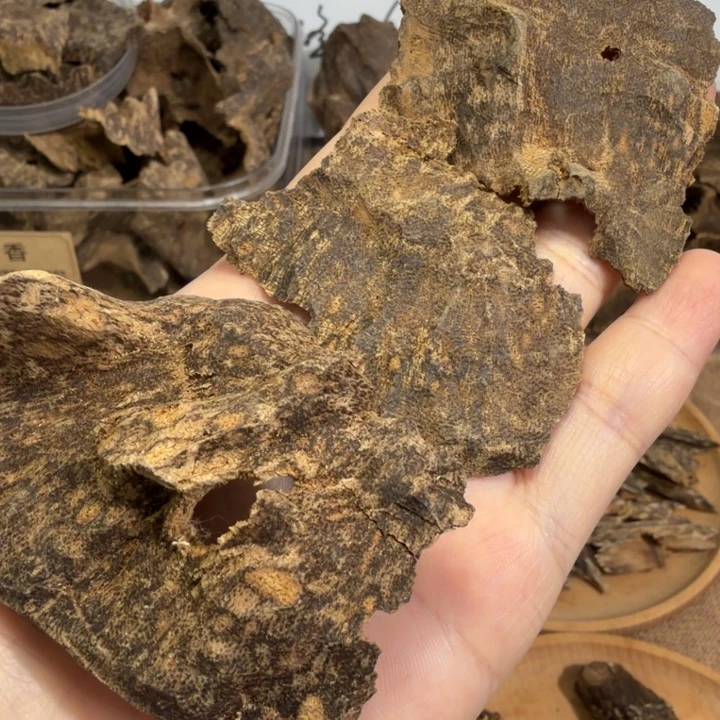 香料芽庄壳香福利款11克