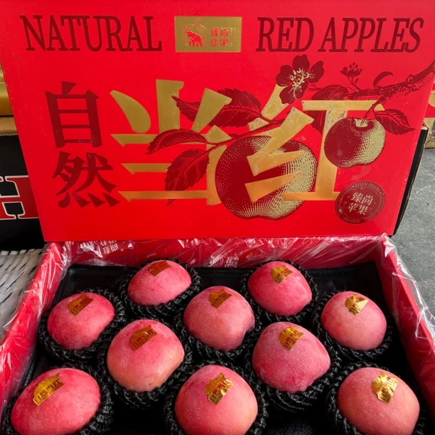 【中秋礼盒】当红-烟台富士苹果新鲜脆甜多汁礼盒装