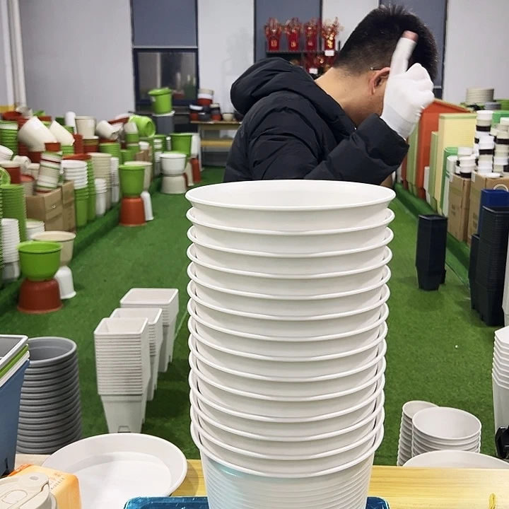 正品矮陶口21高15白色8只无托