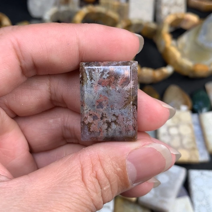 【闪购商品】硅化珊瑚（珊瑚玉）颈饰未镶嵌我***肉