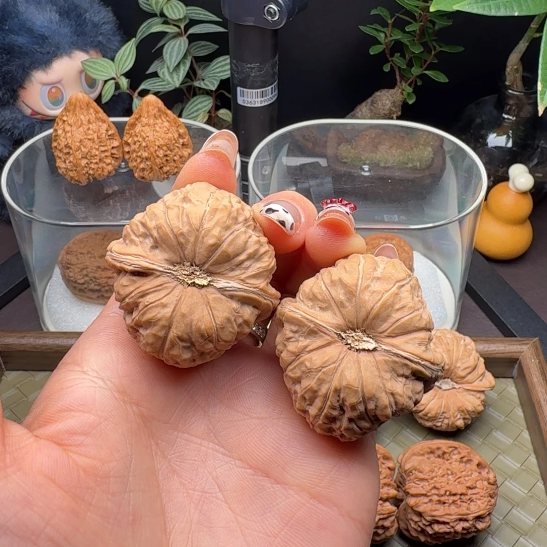 旺***️龙脊菩提吊坠全品南瓜39