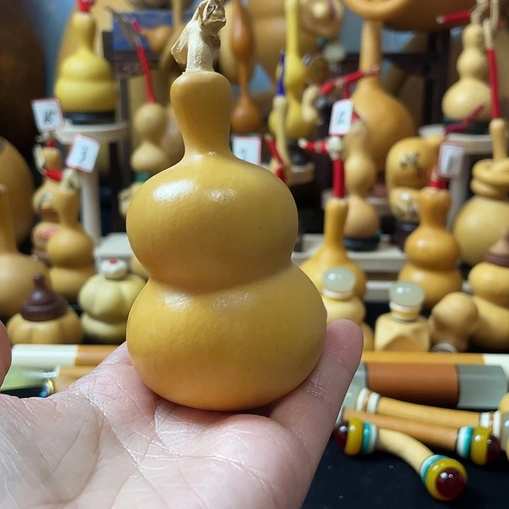 龙****)葫芦丝老师在讲道理也挺好看