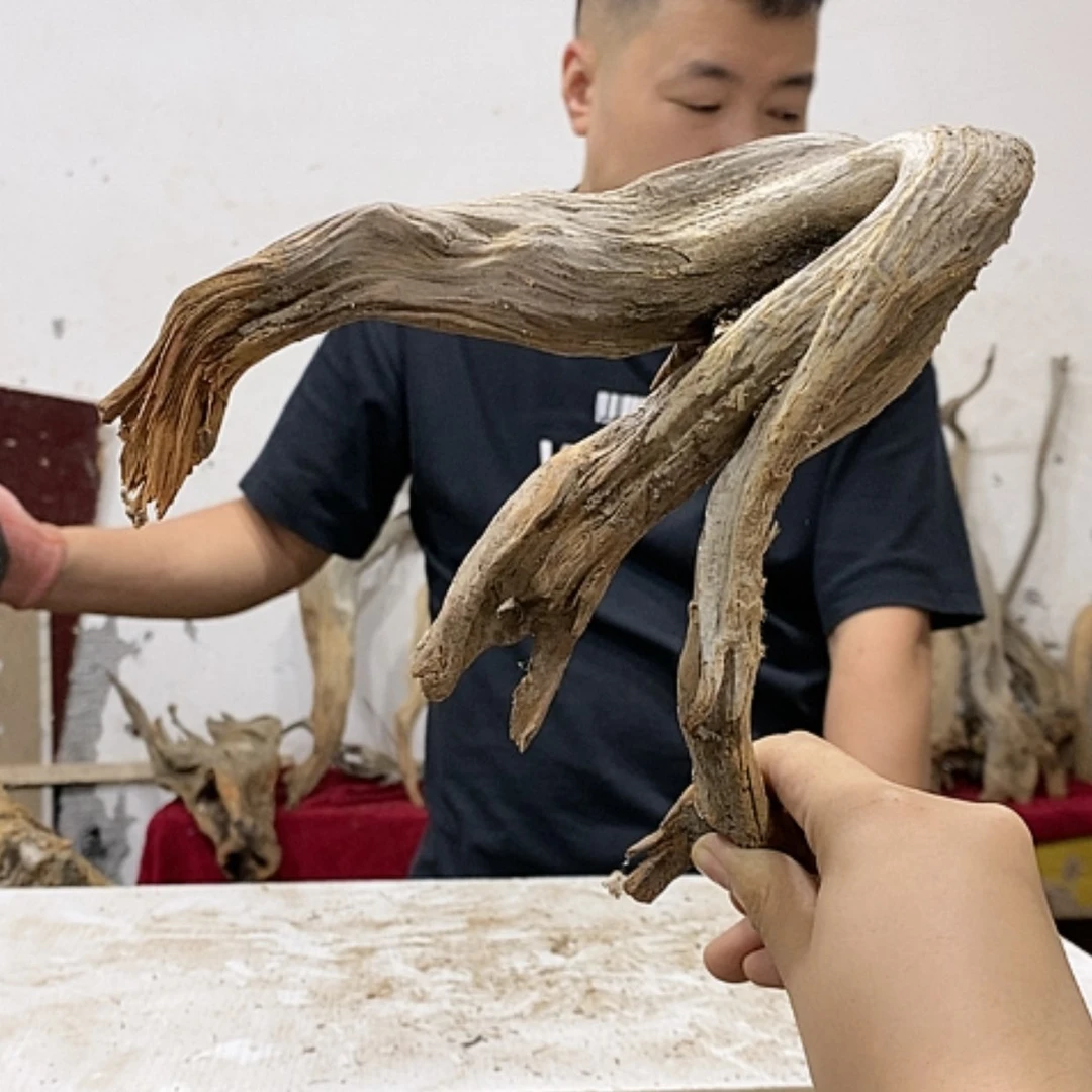 【闪购商品】柏木亮*我们都是好孩子