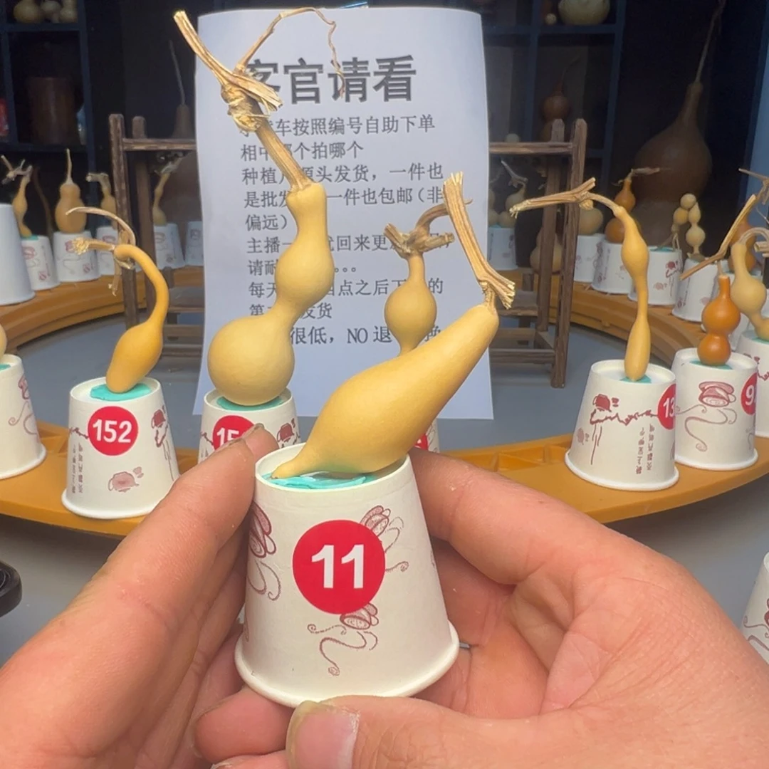 闪电购自助下单编号11