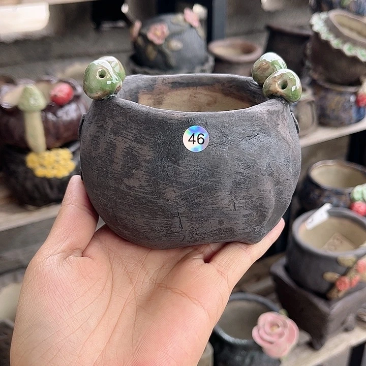 红陶不是说你可以去