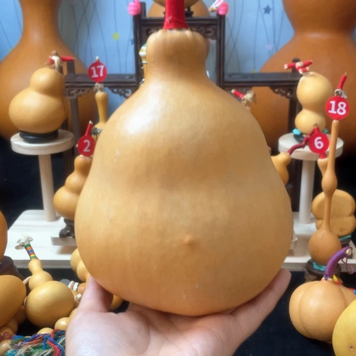 就***子葫芦岛市、不能在你身上找到那个