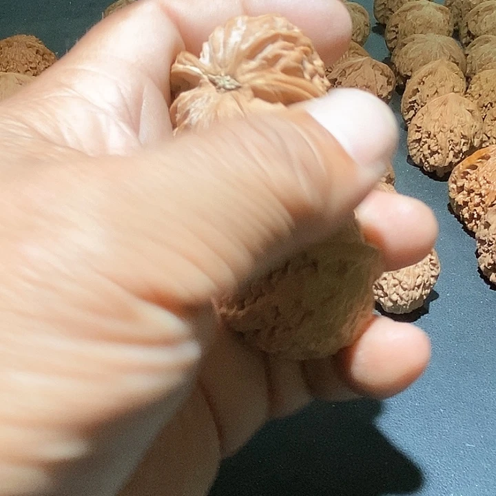 文玩核桃吊坠博*白狮子