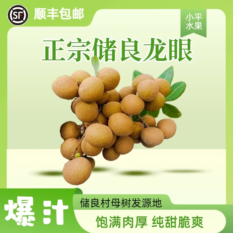 【顺丰包邮】广东高州储良老树龙眼新鲜现摘大果肉厚家庭装新鲜水果