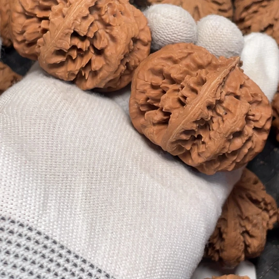 兰***友把件桃核5 秦岭灯笼野生小众