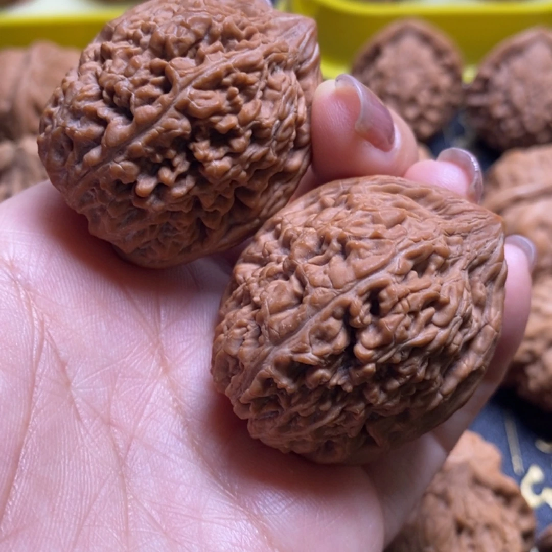 核桃37大蒜头核桃