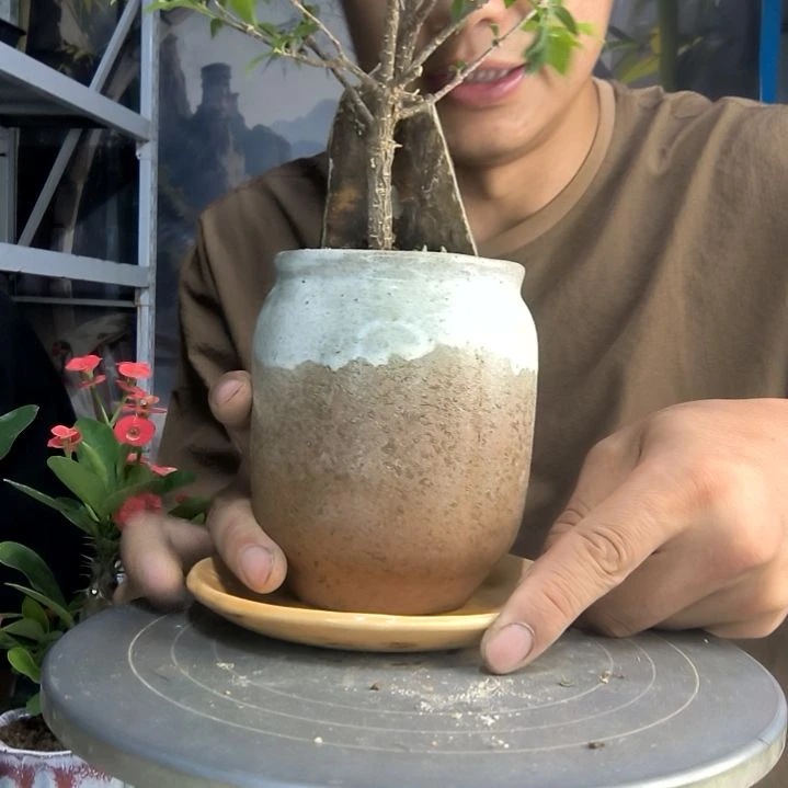 不****?中青园艺一物一拍269